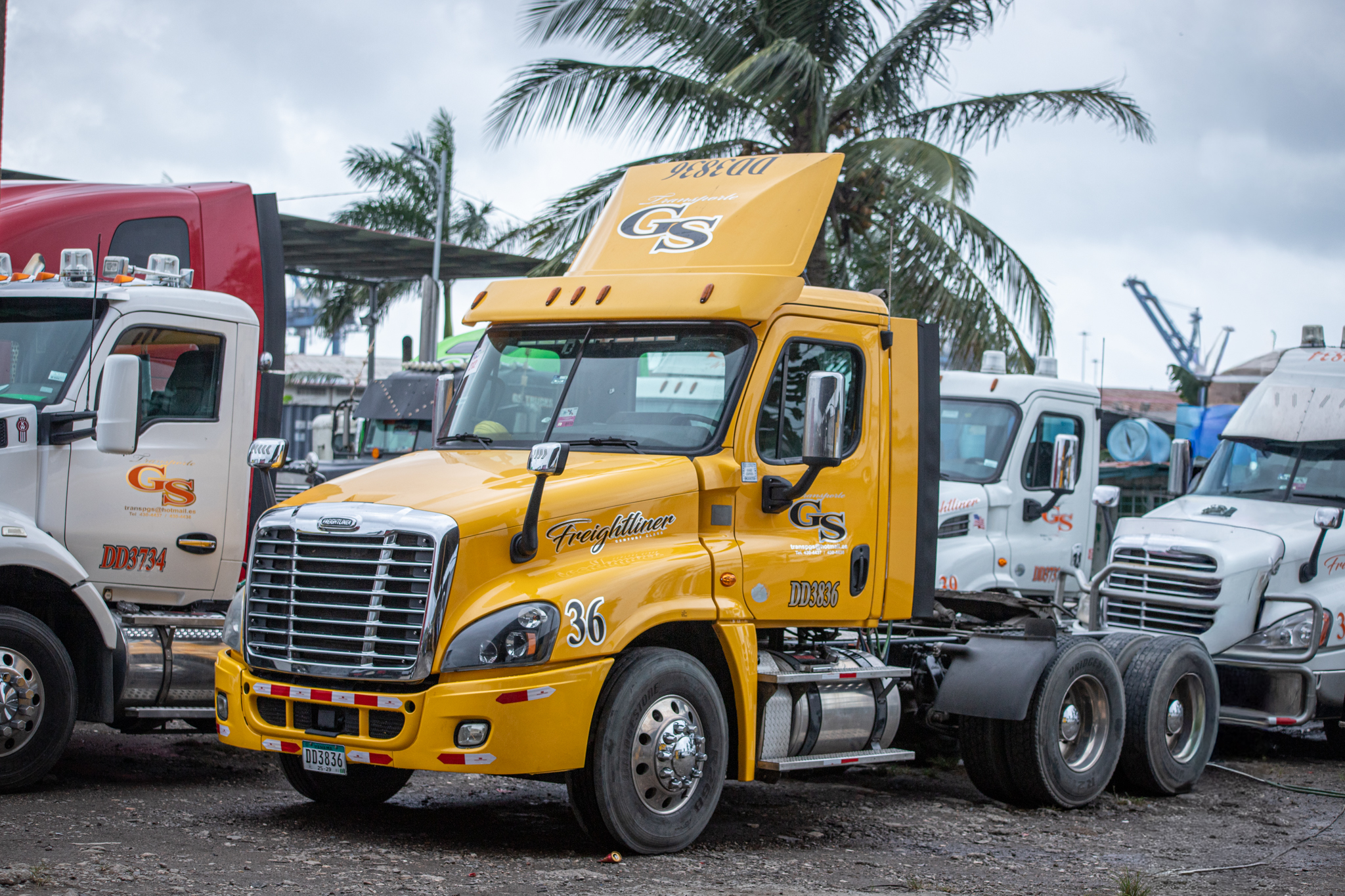 Cabezal amarillo Freightliner
